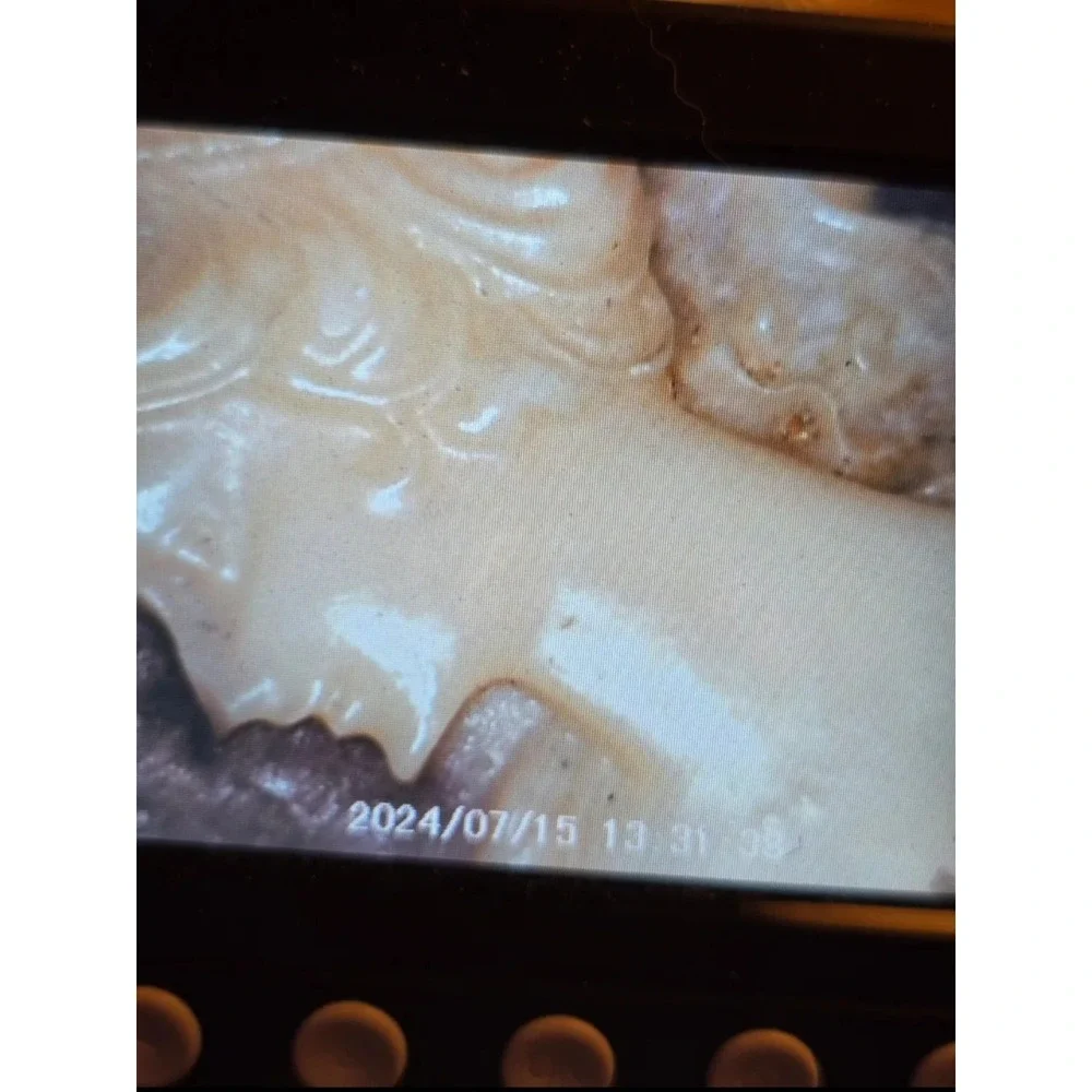 Vintage Vargas Left Facing Cameo 18k HGE Gold Plated Ring - Size 4 - Signed
